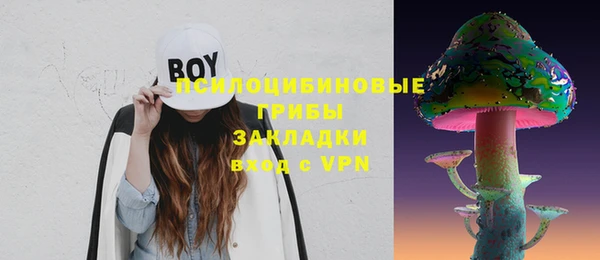сатива Краснотурьинск