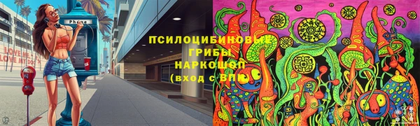 СК Коряжма
