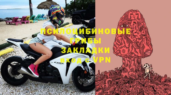альфа пвп Краснослободск