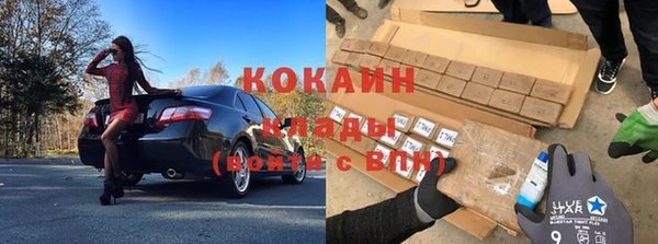 сатива Краснотурьинск
