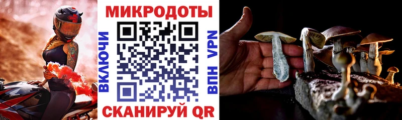 кракен сайт  Новокузнецк  Галлюциногенные грибы Psilocybine cubensis 