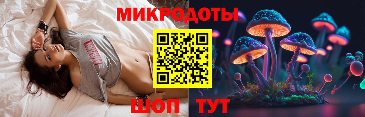 Галлюциногенные грибы Psilocybine cubensis Новокузнецк