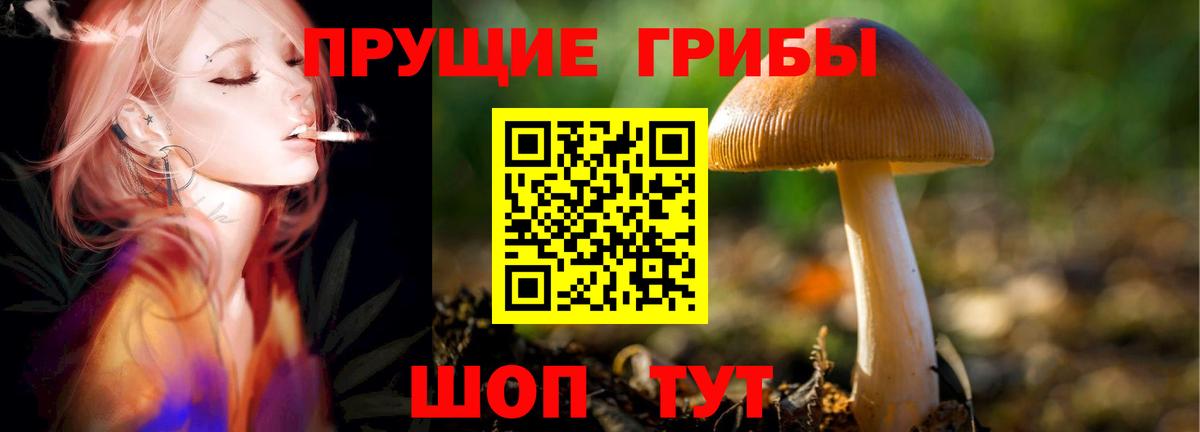 Галлюциногенные грибы Magic Shrooms  Псилоцибиновые грибы мицелий  Вход с VPN  Новокузнецк 